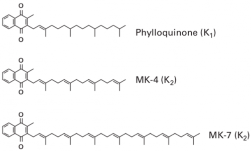 维生素 K2 MK4：食品营养强化的下一个风口！ 维生素k2mk7