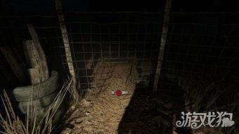 二狗创世纪,探寻神话中的智慧与力量