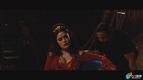 奇趣马戏团：吸血鬼的助手,吸血鬼助手的神秘冒险之旅